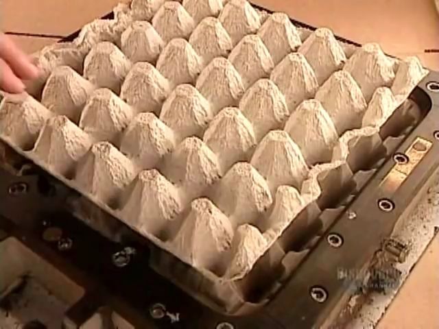 [图]纸浆模塑(How It's Made Moulded Pulp Containers)