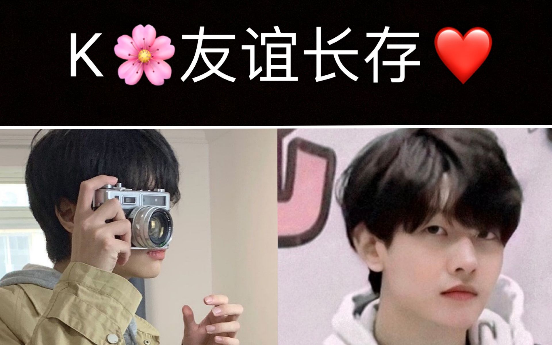 k花告白沈以诚因为你爱上整个夏末高度适配