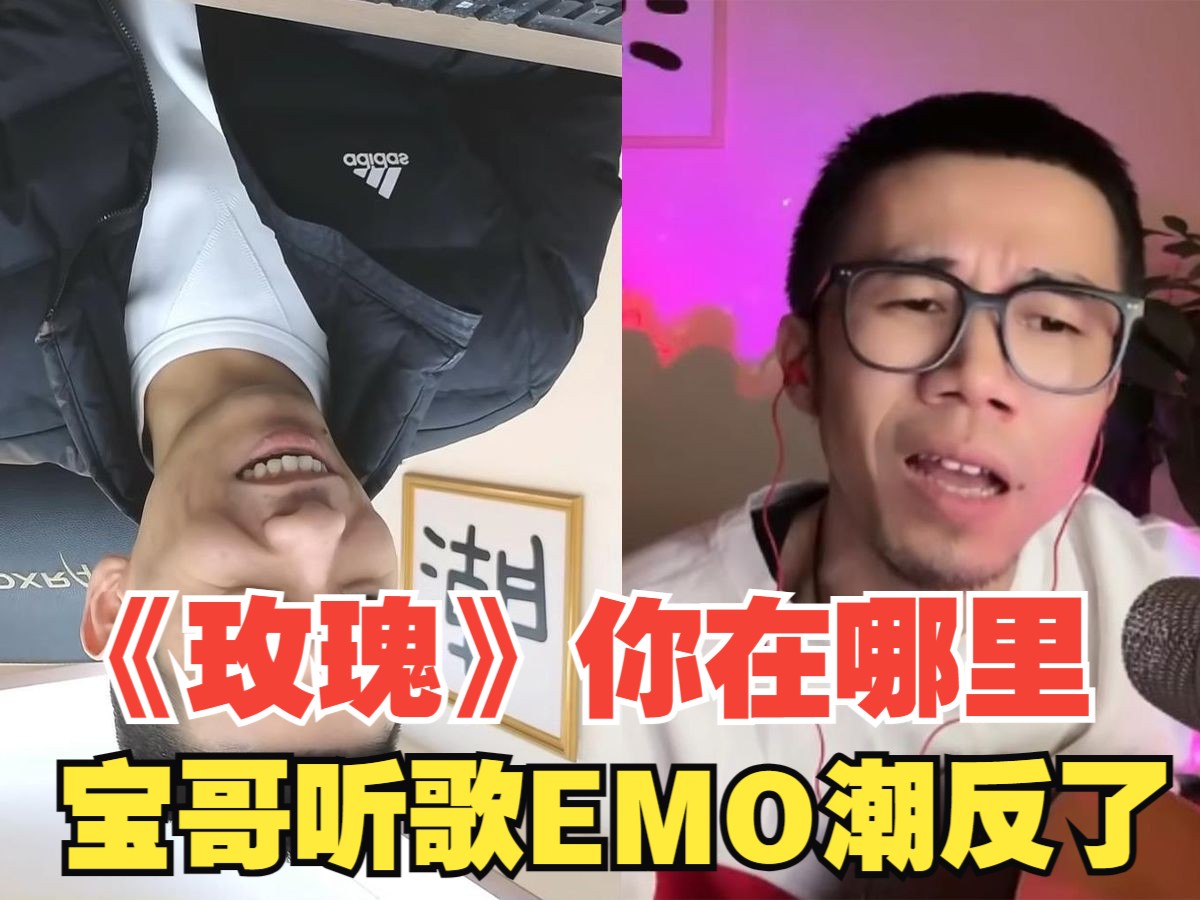 一首民谣玫瑰,路边的狗听了都要emo一天,宝哥听完表示自己要潮反了