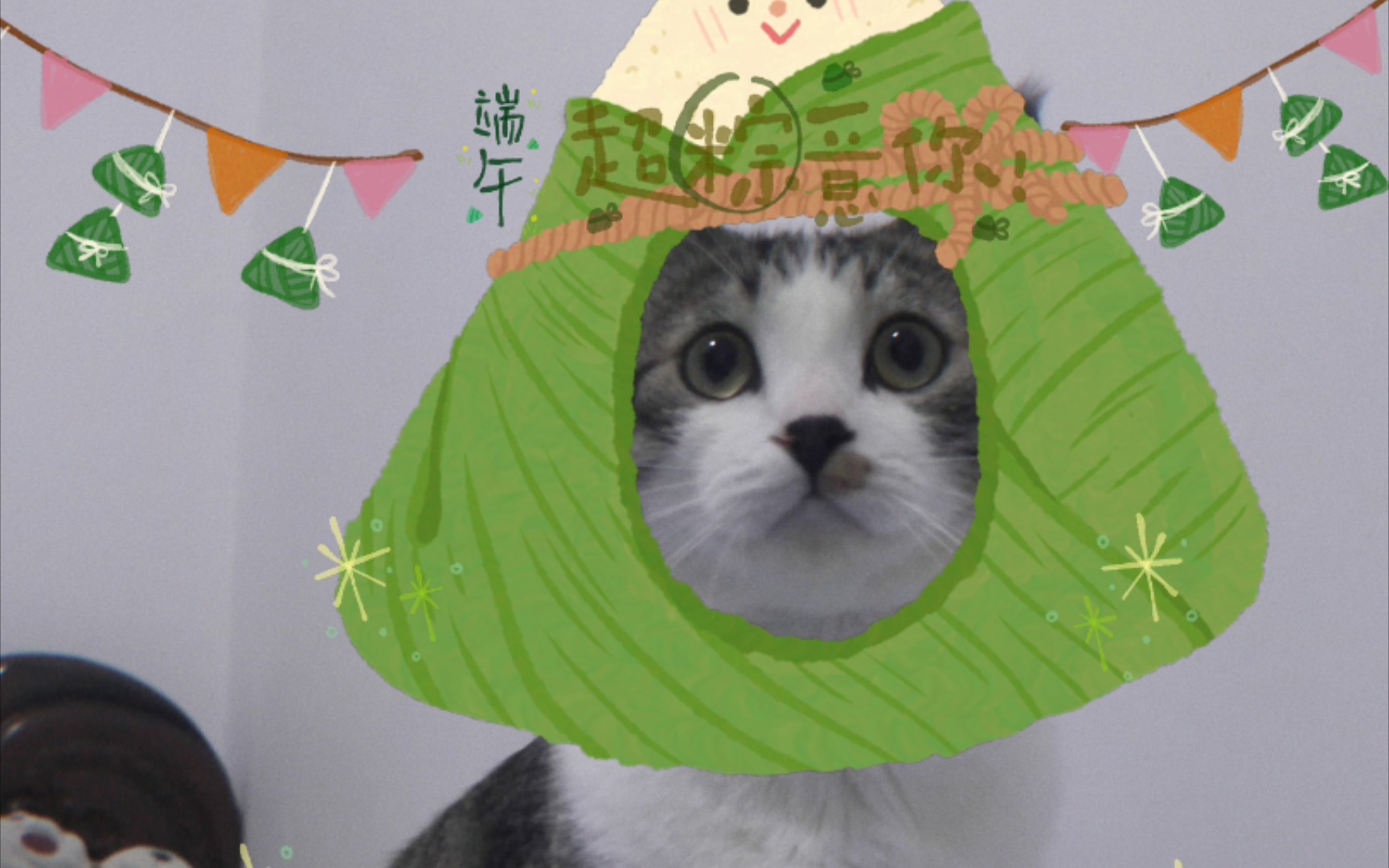 猫咪都吃粽子了,你们吃了吗?_哔哩哔哩_bilibili