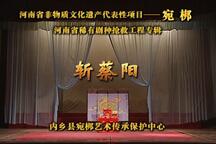 斩蔡阳 全场
