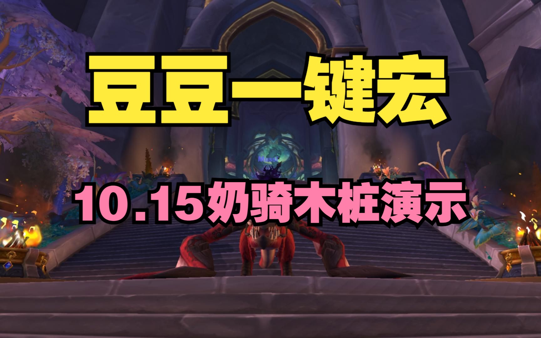 魔兽世界10.15奶骑一键宏木桩演示网络游戏热门视频