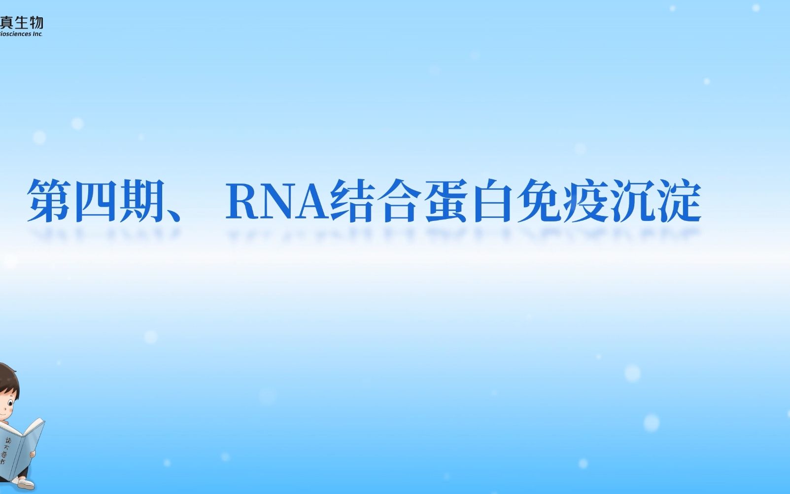 【核酸蛋白互作专题】第4期 RNA结合蛋白免疫沉淀哔哩哔哩bilibili