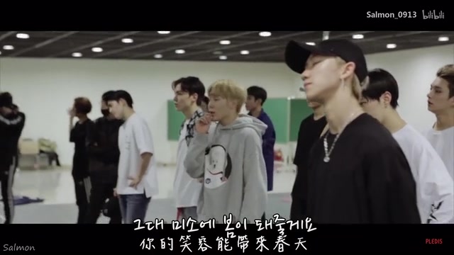 [图]【SEVENTEEN】阵雨vs微笑花（催泪向）