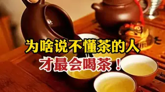 Download Video: 为什么说不懂茶的人，才最会喝茶，茶业内行人讲出了实话！