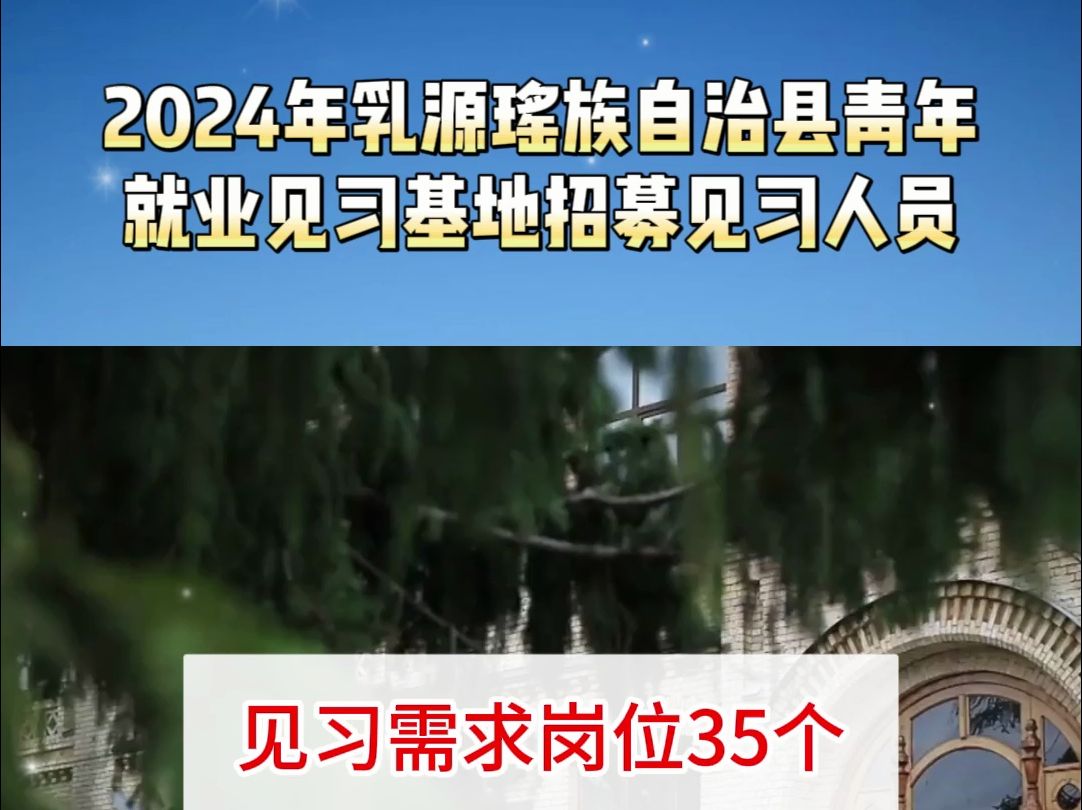 2024年乳源瑶族自治县青年就业见习基地招募见习人员哔哩哔哩bilibili