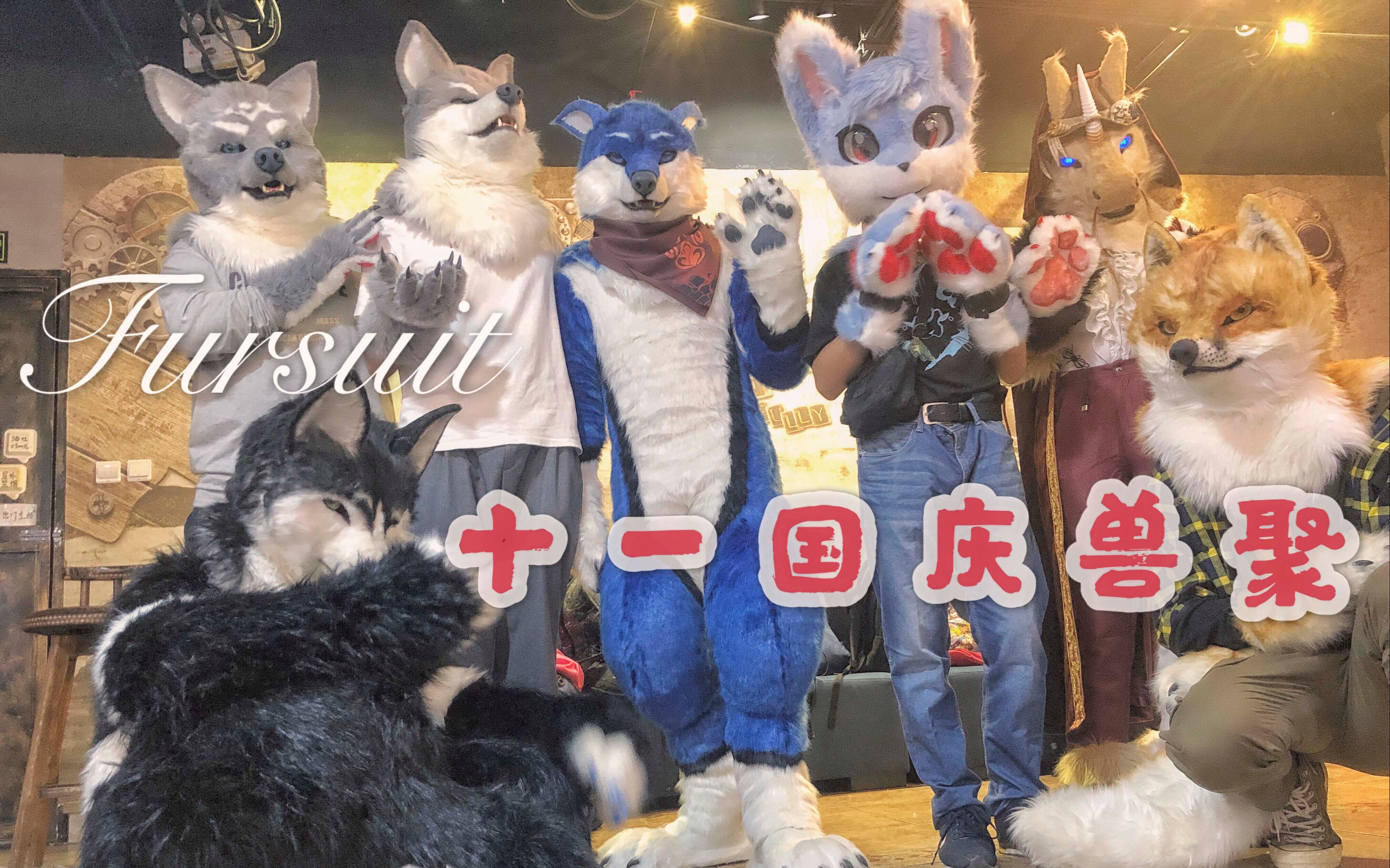 活動作品司馬小忽悠のfursuit國慶北京獸聚