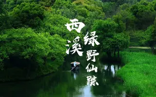 Download Video: 曾经上过《国家地理》的西溪湿地,春日绿野仙踪也太美了,超级治愈,你爱了吗?