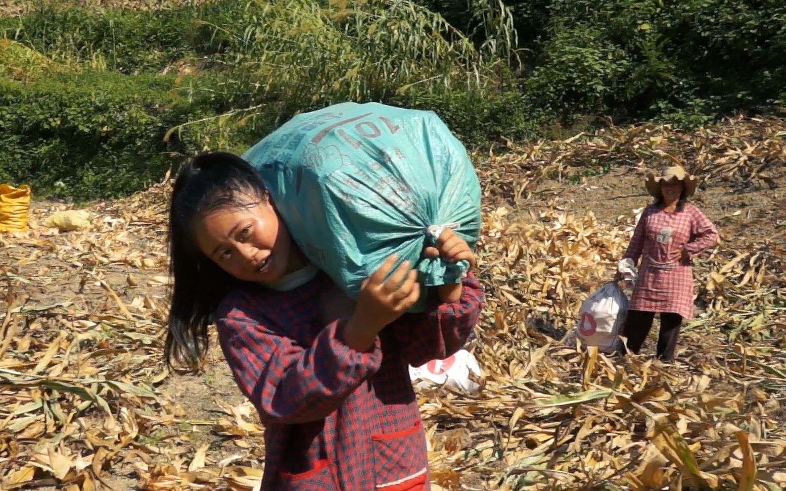 19岁女孩上山帮妈妈打包谷,1袋袋地扛回家,真是力大如牛!