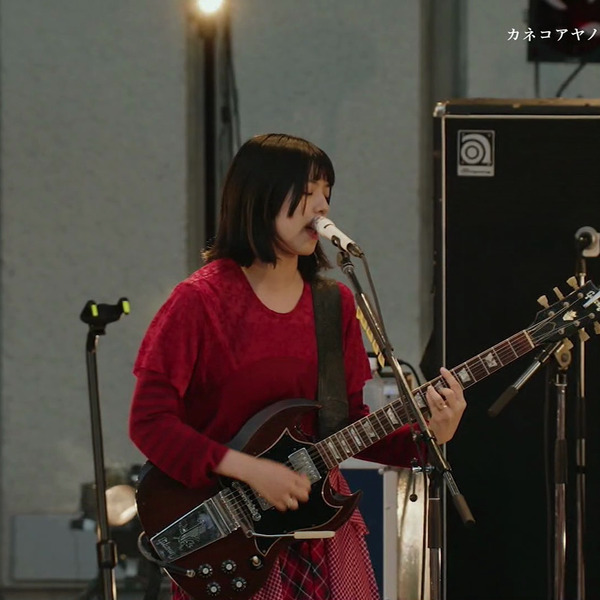 LIVE】20240803 カネコアヤノ 野音ワンマンショー 2024 Special
