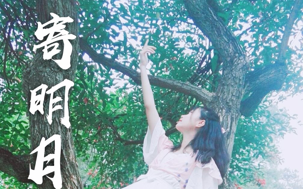 sing女團寄明月新人初投稿