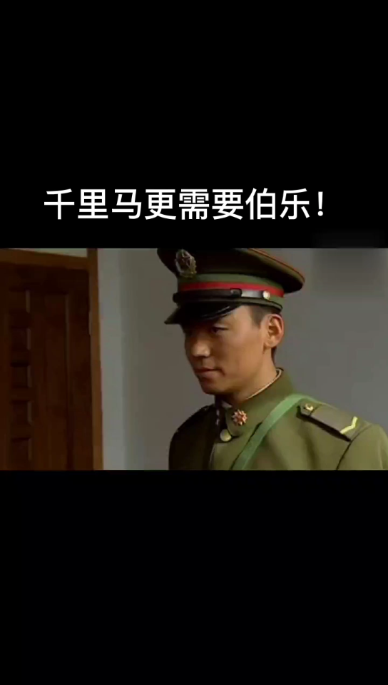 千里马与伯乐哔哩哔哩bilibili