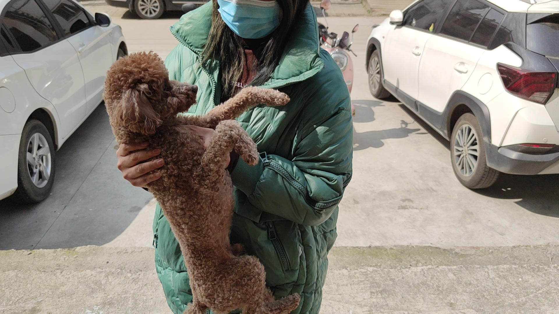 花两百从狗肉店里救下的要被宰杀炖汤的泰迪领养去新家了,希望它一生