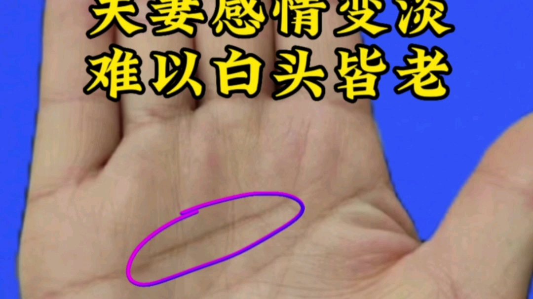 容易离婚的手相