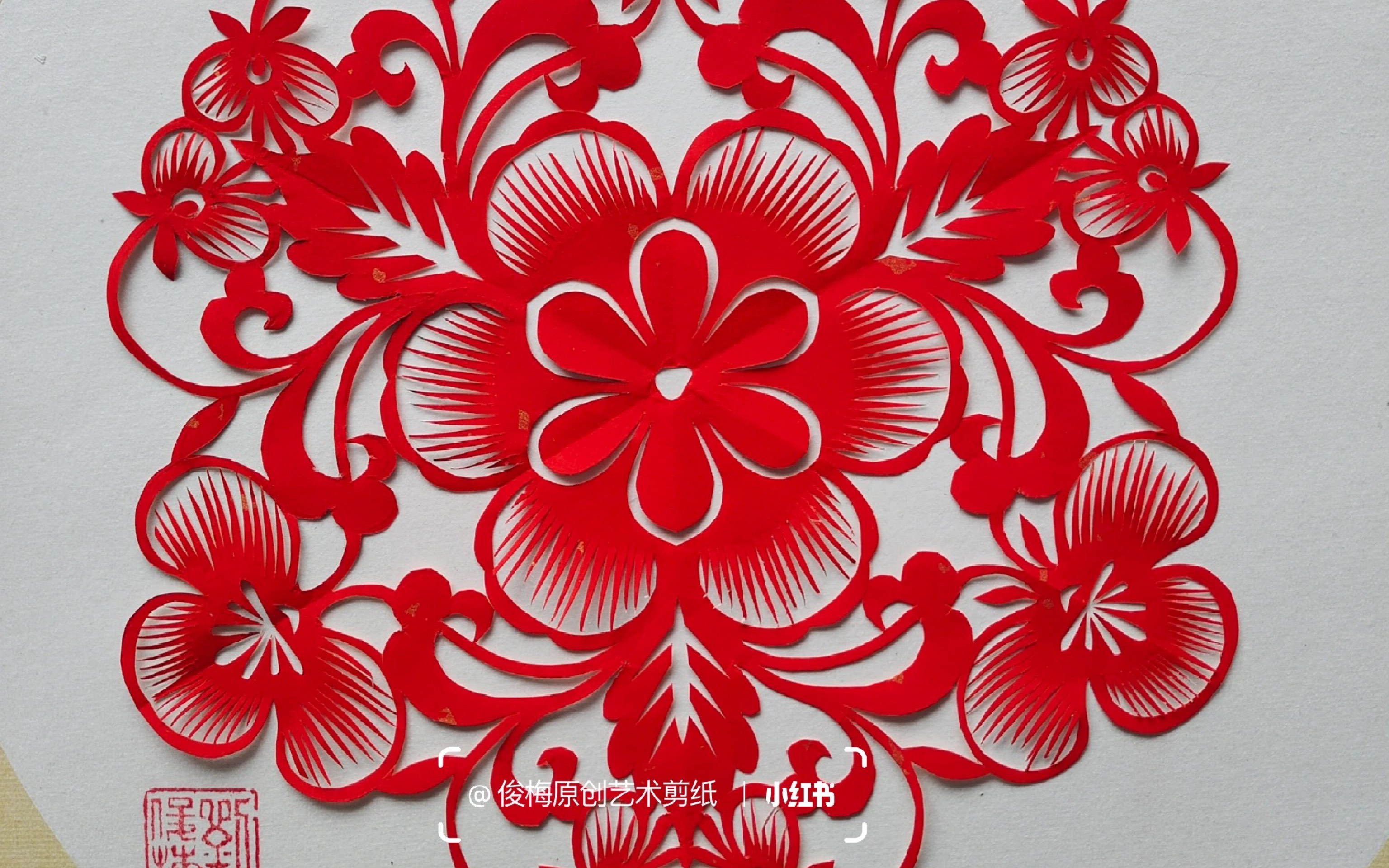 每日一剪|三折夏花