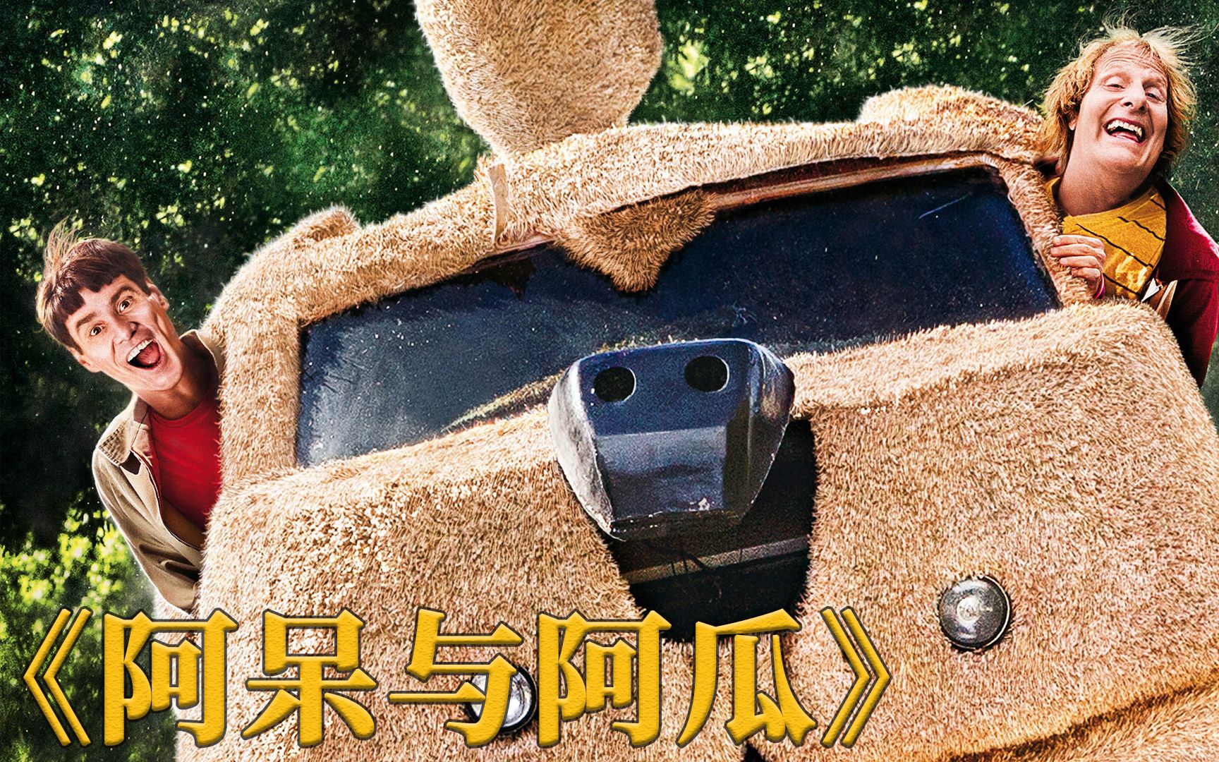 难兄难弟追女神,意外破获绑架案,金凯瑞成名之作《阿呆与阿瓜》