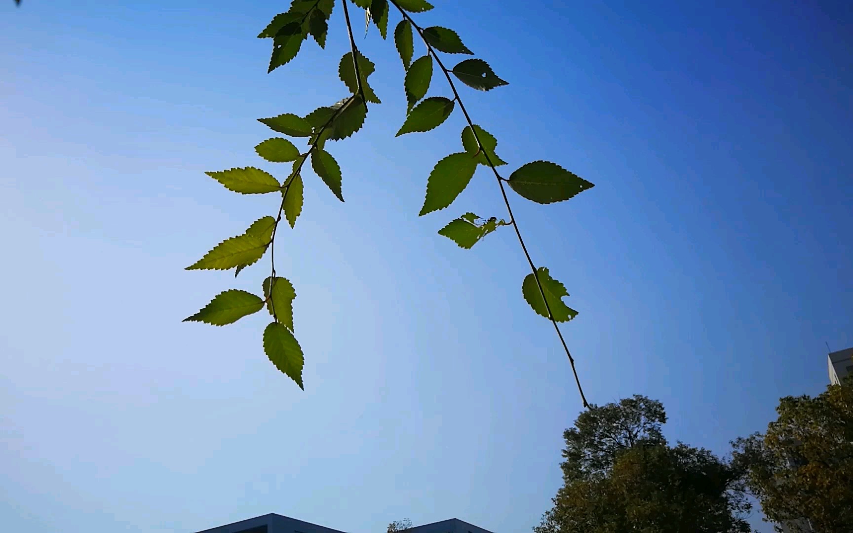 [图]东华理工大学机械与电子工程学院2018年元旦网宣祝福视频