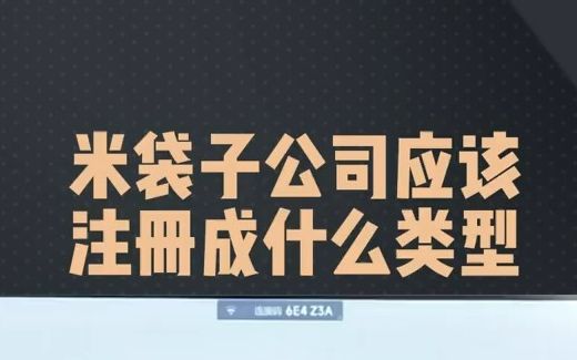 米袋子公司应该注册成什么类型哔哩哔哩bilibili