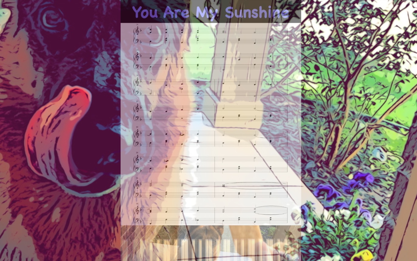 [图]You Are My Sunshine｜《你是我的阳光》全曲钢琴教程