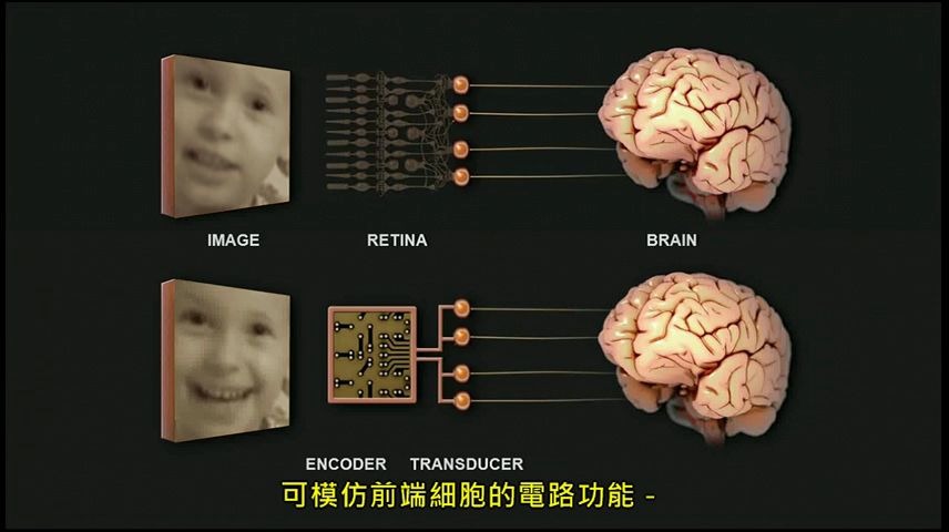 神经工程原理人工视网膜的神经编码哔哩哔哩bilibili