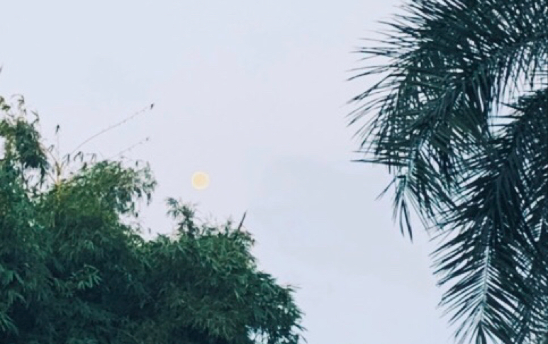 [图]「 陪你一起度过下雨的时间 」雨还是不停地落下-孙燕姿