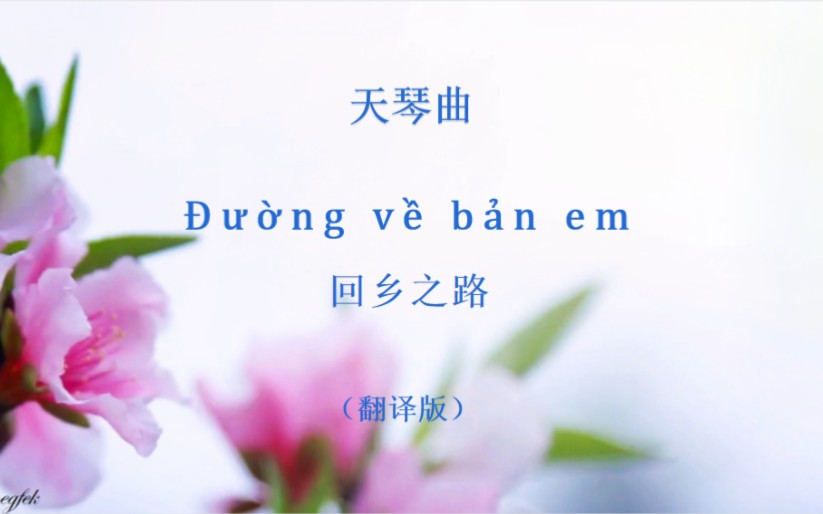 天琴曲:《䐆𐡻ng về bản em》( 回乡之路) 越南(岱侬)文壮文汉文翻译版哔哩哔哩bilibili