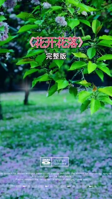 音樂分享 #花開花落 #經典老歌 #情感音樂 #好歌推薦