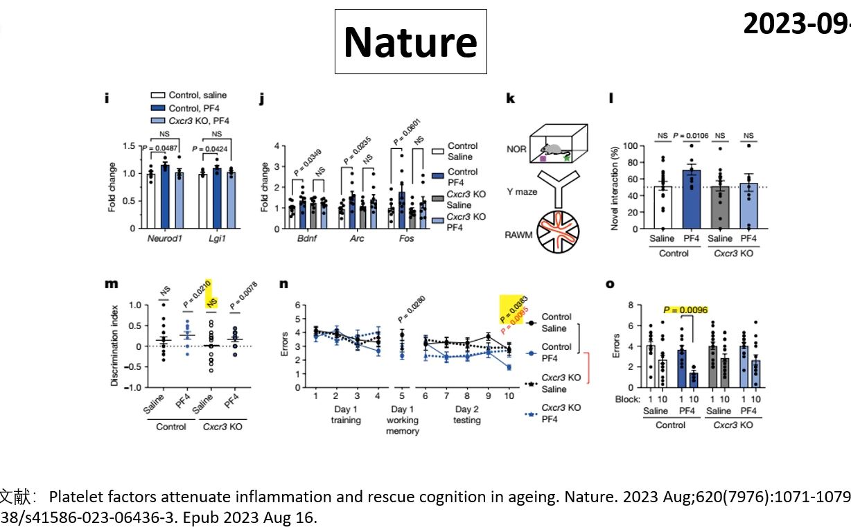 Nature—血小板因子可抑制炎症反应并改善认知衰老哔哩哔哩bilibili