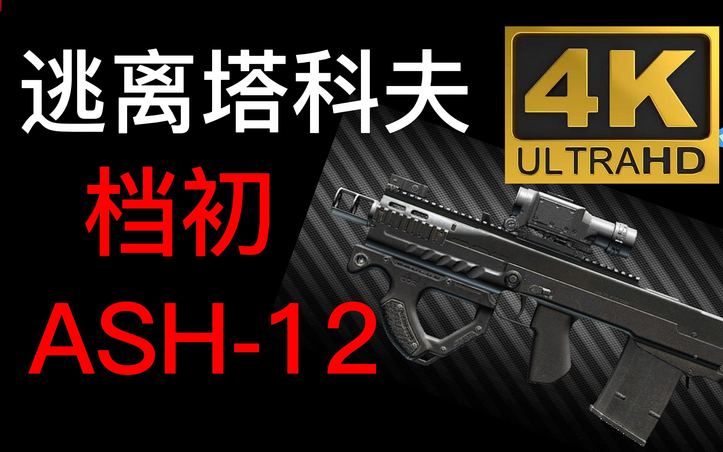 逃离塔科夫档初ash-12(实战版)
