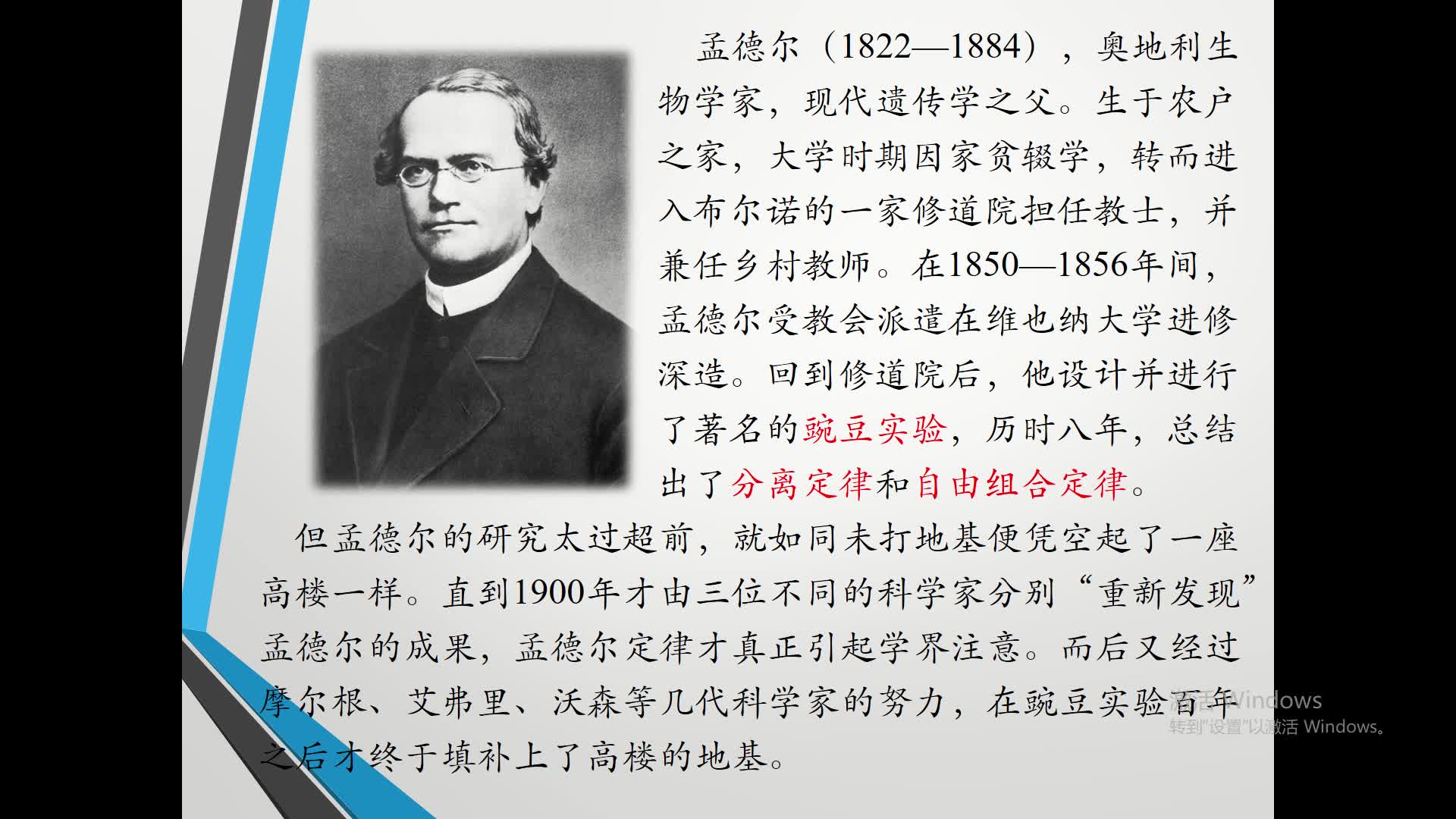 [图]泰西中学2019级孟德尔豌豆杂交实验（一）