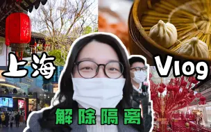 Tải video: 23天隔离后喜提绿码 赏腊梅 品小笼  【上海vlog】