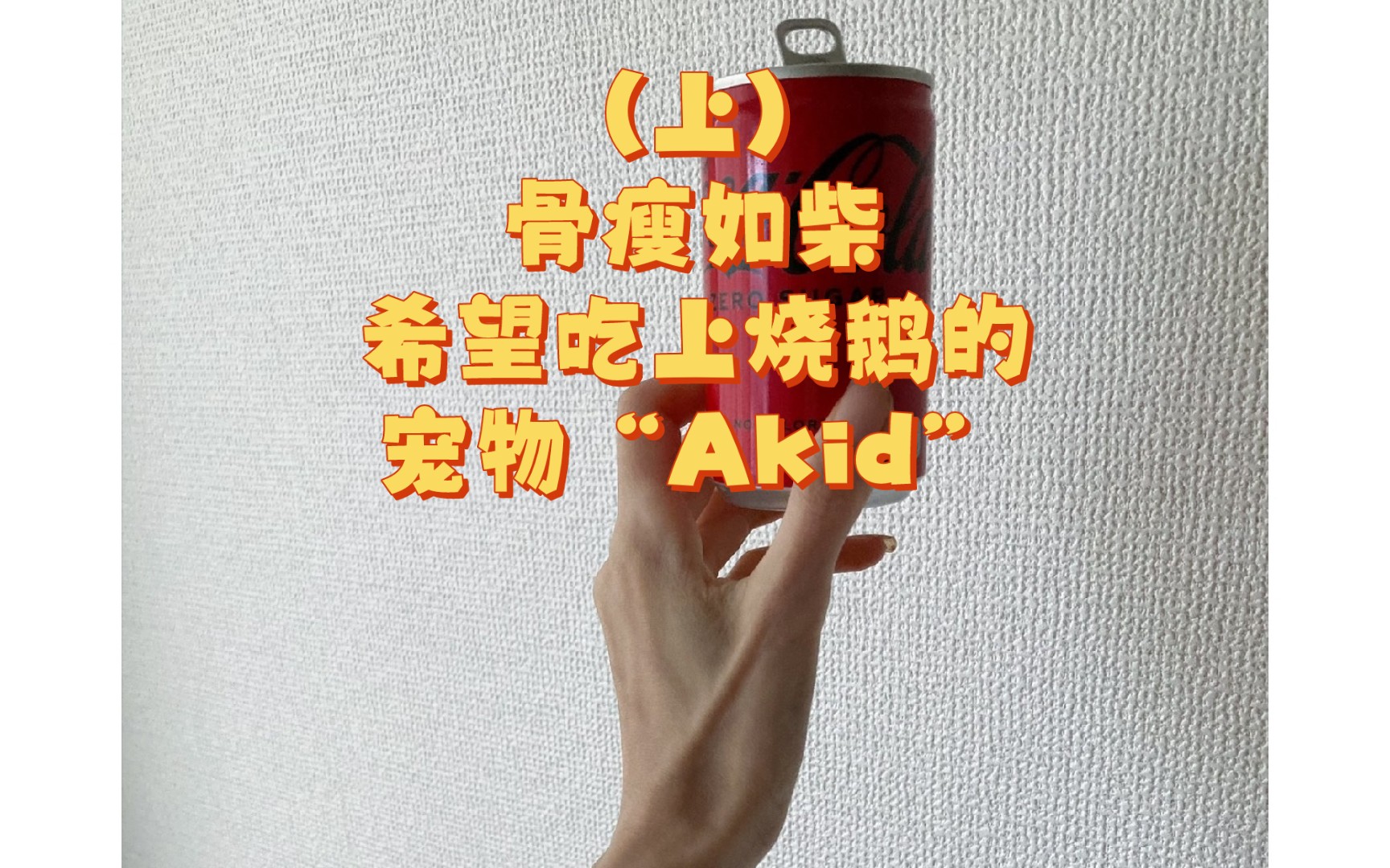 (上)身在日本的宠物“Akid”因病已经离开人世,生前一度骨瘦如柴,交不起学校的学费,最大的愿望就是吃上一次烧鹅.哔哩哔哩bilibili