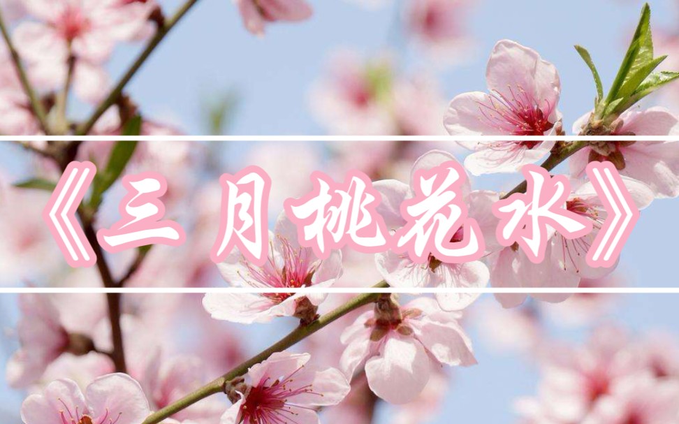 朗誦:《三月桃花水》地上草如茵,兩岸柳如眉._嗶哩嗶哩_bilibili