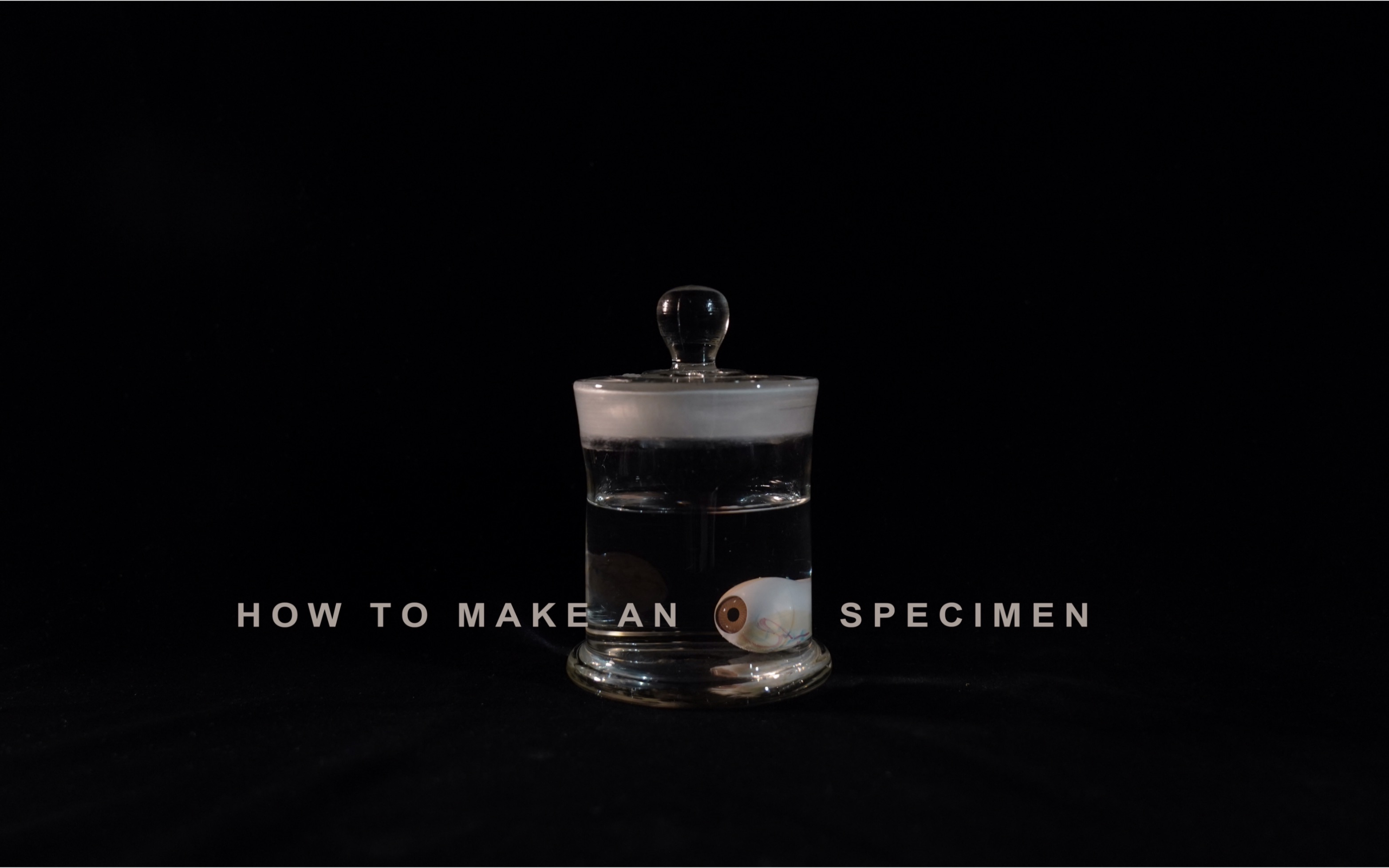 |定格动画实验|「how to make an eyeball specimen」如何制作眼球标本哔哩哔哩bilibili