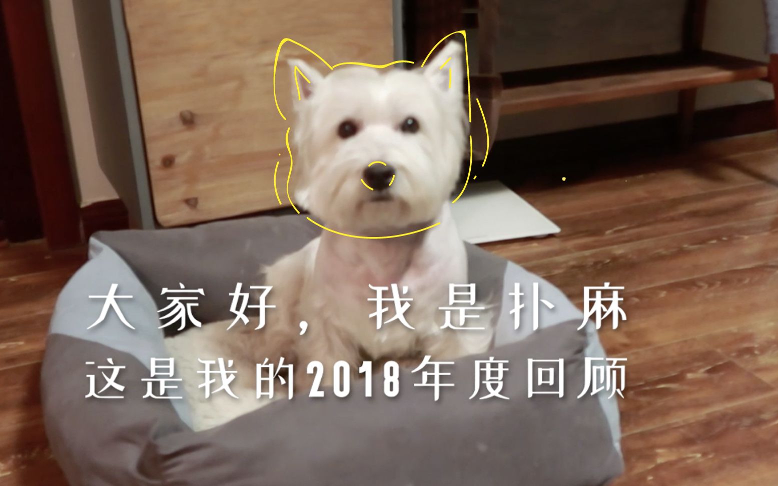 【原来是西门大嫂】2018年度回顾|一封来自扑麻的视频信哔哩哔哩bilibili