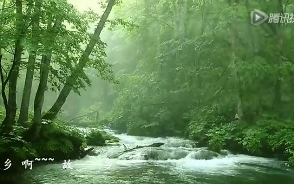 《故乡的原风景 安娜小笺 绿袖子 夜莺 水边的阿狄丽娜 天空之城 和兰花在一起 Love is blue Forever inLove 安妮的仙境》哔哩哔哩bilibili