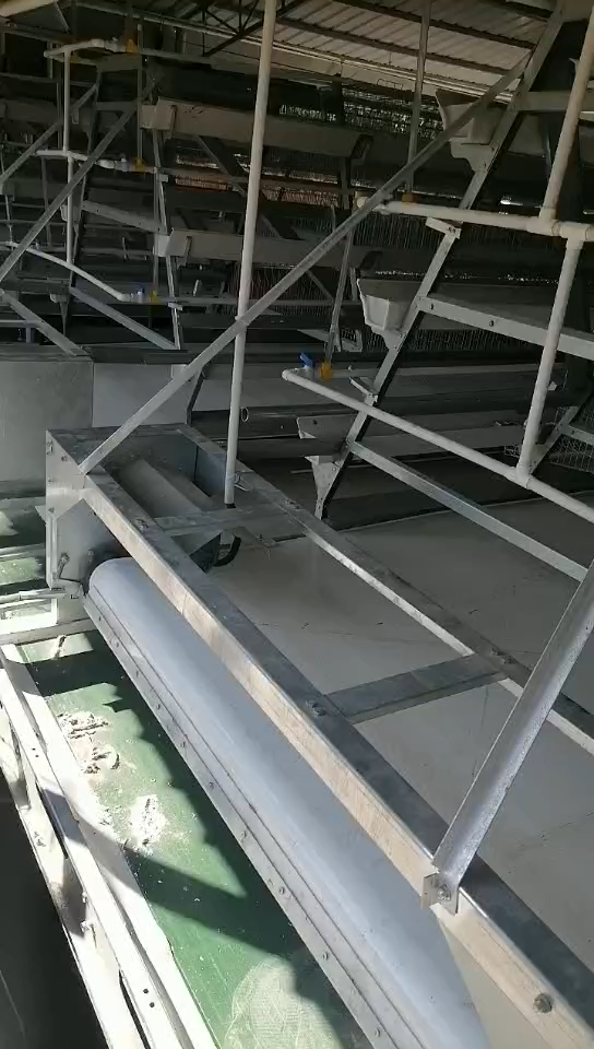 自动清粪机履带式自动清粪机横向传粪