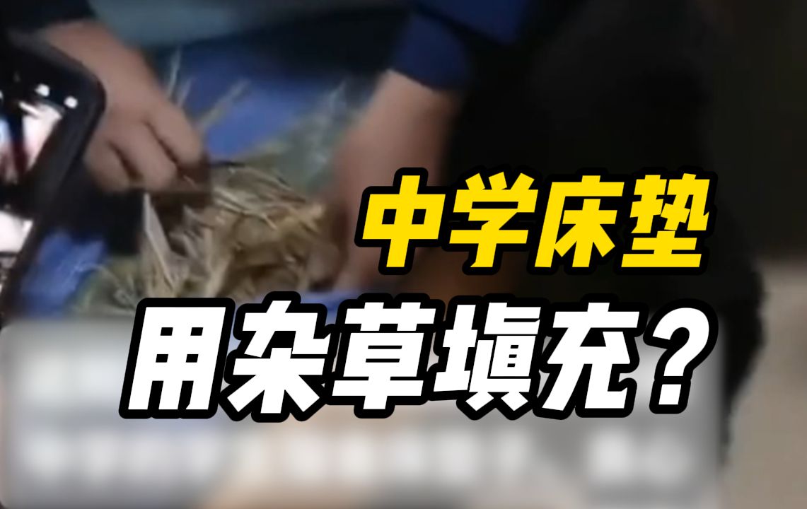 网传天津一中学寝室床垫用杂草填充,学校回应:有在调查,具体不便透露哔哩哔哩bilibili