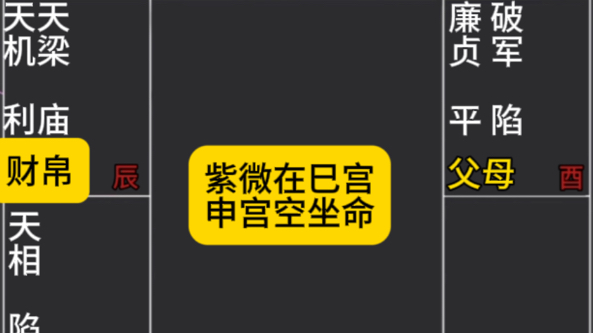 紫微斗数紫微七杀在巳申宫坐命空宫借对宫太阳巨门哔哩哔哩bilibili