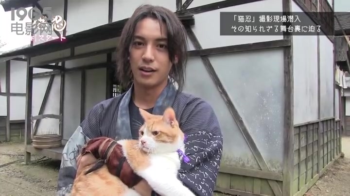 [图]《猫忍》拍摄特辑 《猫侍》玉之丞友情出演