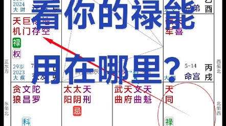 命盘看禄能发挥在哪里? 父母宫是言谈举止 涵养位坐禄 证明命主言谈举止礼貌有笑容涵养也不错,这个有个好处呢?我们看转忌 哦转入了交友宫 有利于自己...