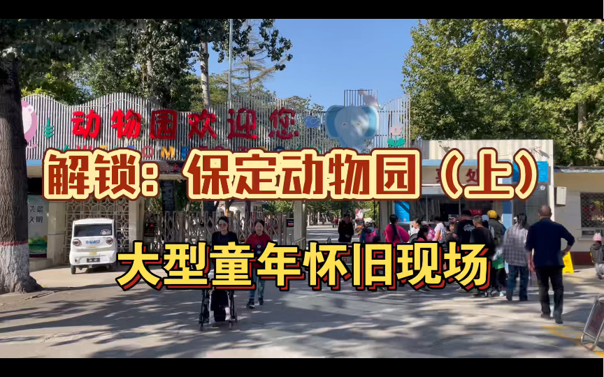 解锁保定动物园,相信我在这里一定能够找回你的童年.哔哩哔哩bilibili