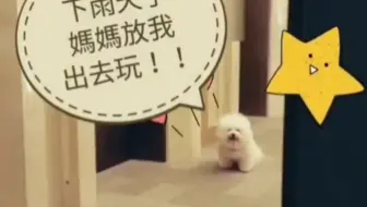 Jolin和屋虎的互动