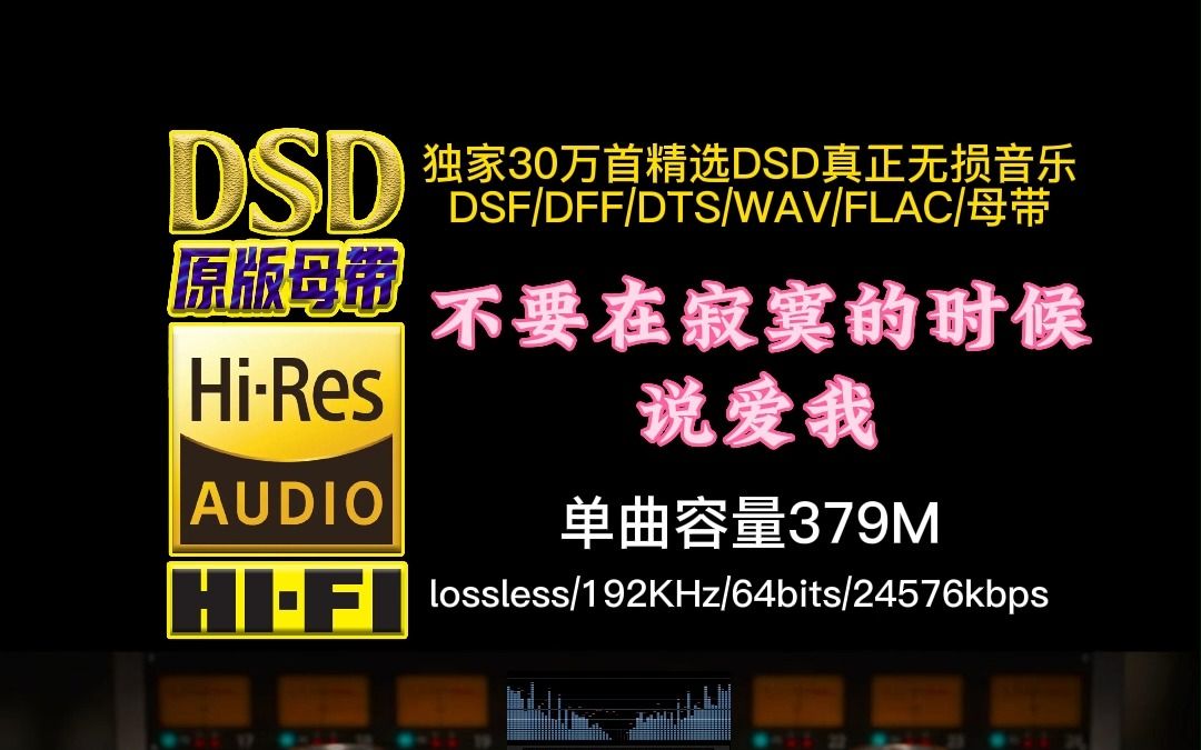 [图]经典伤感情歌：《不要在寂寞的时候说爱我》DSD完整版【30万首精选真正DSD无损HIFI音乐，百万调音师制作】