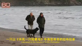 Download Video: 【Cillian Murphy】基莲海边散步 + 遛狗 + 酒馆