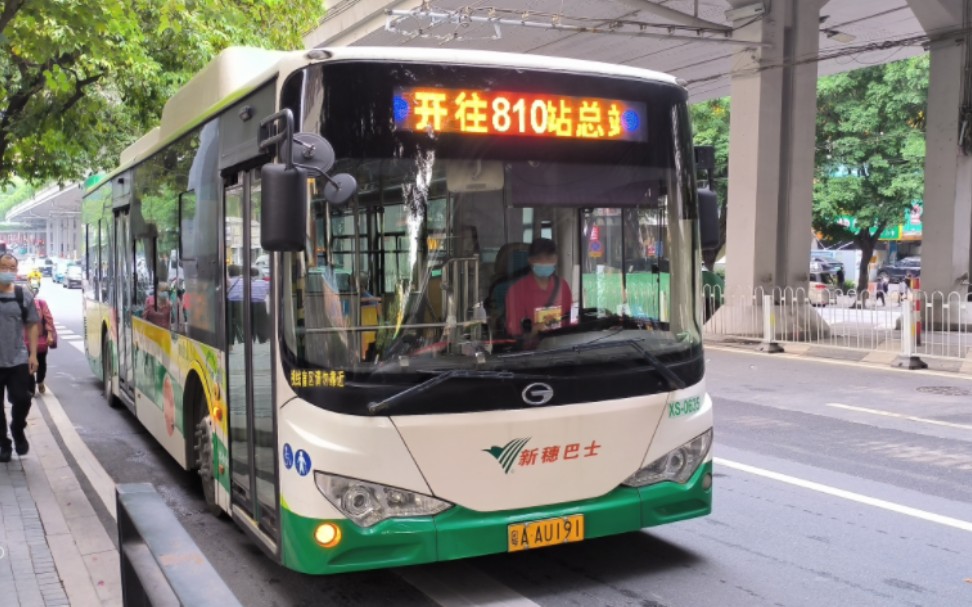 (全线独苗之一)(云乘车)广州公交810路广汽比亚迪gz6120lgev2(k9f)