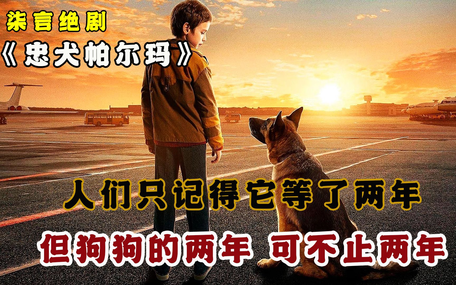 [图]狗狗被主人狠心抛弃，它却用半条命还了恩情！——《忠犬帕尔玛》