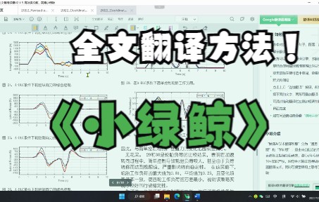 小绿鲸文献全文翻译及相关处理哔哩哔哩bilibili