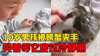 10岁男孩被螃蟹夹手哭着等它冷静，母亲：他养了很久有感情
