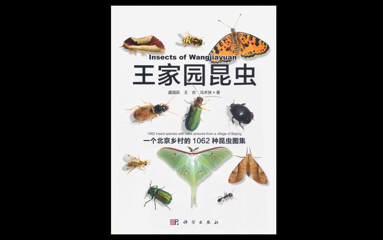 【王家园昆虫】高清完整全版哔哩哔哩bilibili